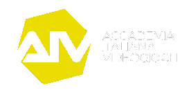 aiv logo